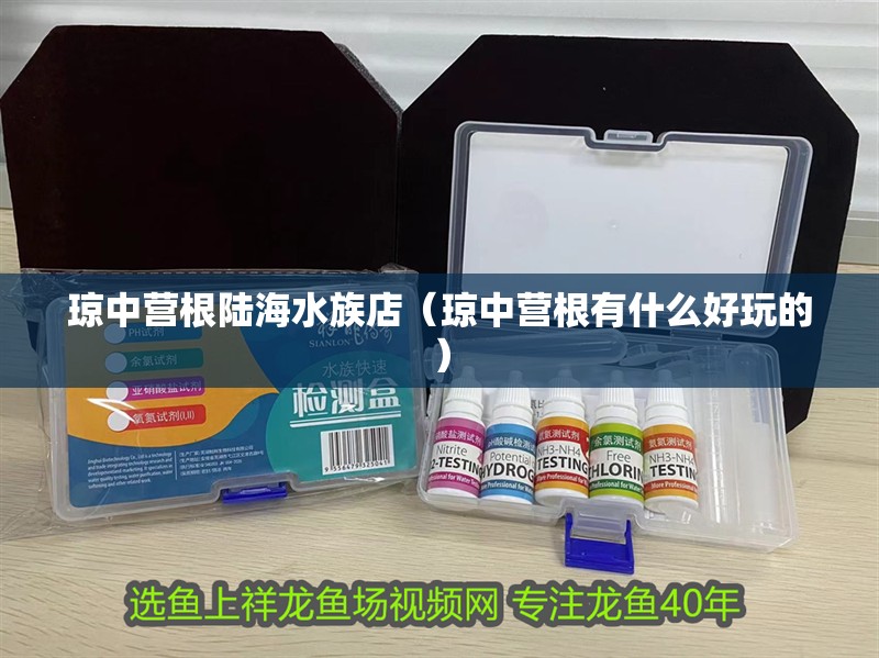 瓊中營根陸海水族店（瓊中營根有什么好玩的）