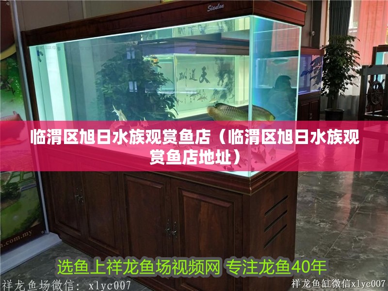 臨渭區(qū)旭日水族觀賞魚店（臨渭區(qū)旭日水族觀賞魚店地址）