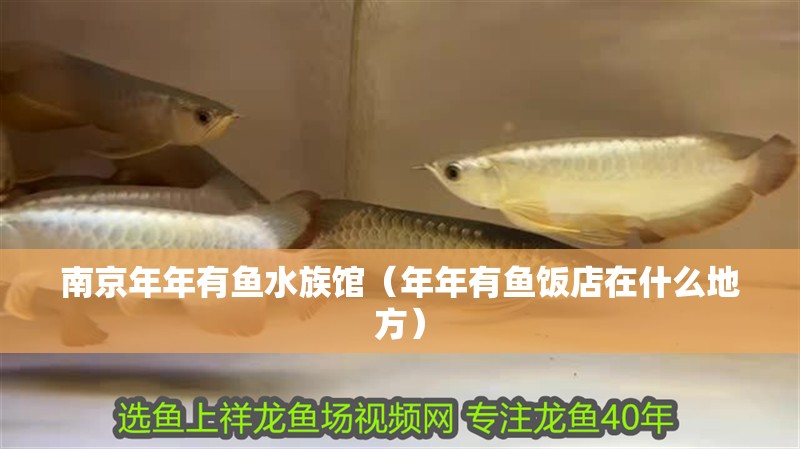 南京年年有魚水族館（年年有魚飯店在什么地方）