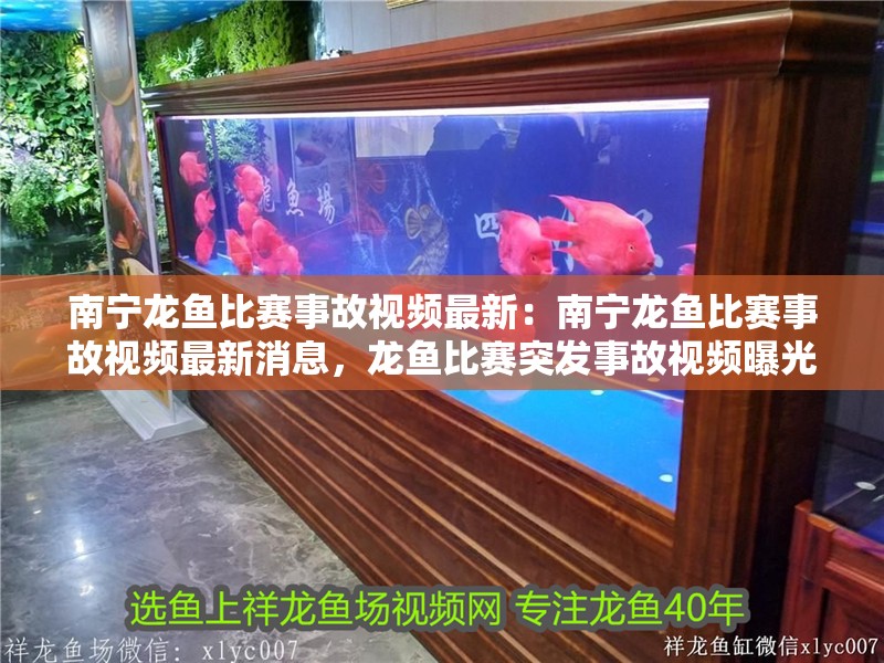 南寧龍魚比賽事故視頻最新：南寧龍魚比賽事故視頻最新消息，龍魚比賽突發(fā)事故視頻曝光最新進展