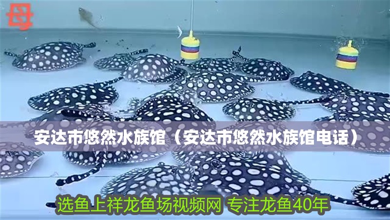 安達市悠然水族館(安達市悠然水族館電話) 全國水族館企業名錄 第2張 安達市悠然水族館(安達市悠然水族館電話) 安達市悠然水族館(安達市悠然水族館電話) 全國水族館企業名錄 第2張