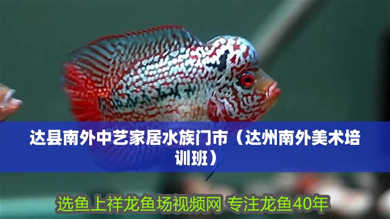 達縣南外中藝家居水族門市（達州南外美術培訓班）