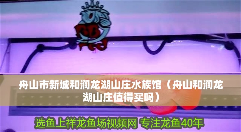 舟山市新城和潤龍湖山莊水族館（舟山和潤龍湖山莊值得買嗎）