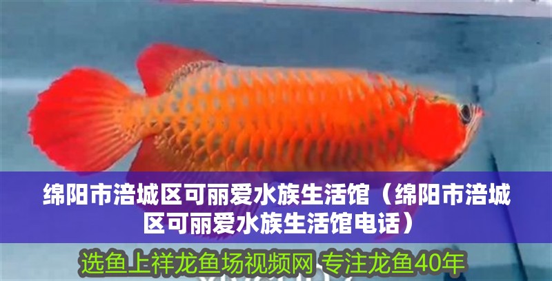 綿陽市涪城區可麗愛水族生活館（綿陽市涪城區可麗愛水族生活館電話）