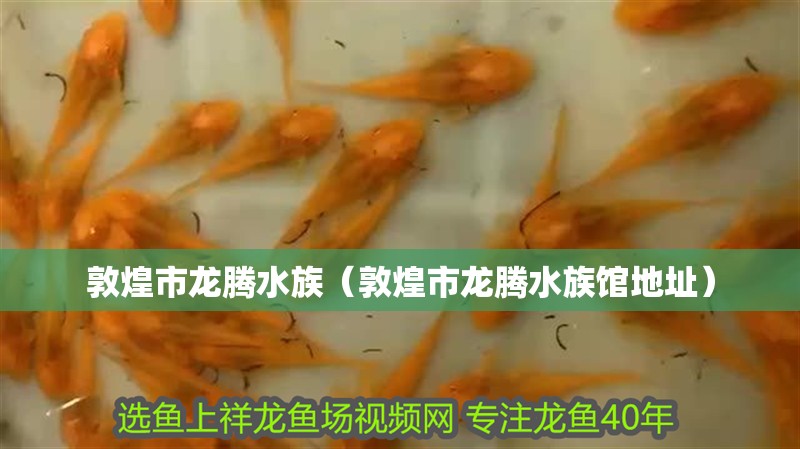 敦煌市龍騰水族（敦煌市龍騰水族館地址）