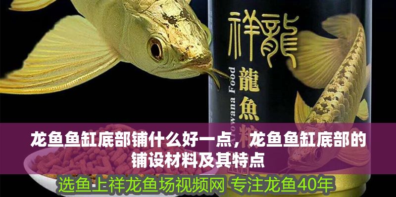 龍魚魚缸底部鋪什么好一點，龍魚魚缸底部的鋪設材料及其特點