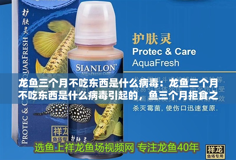 龍魚三個月不吃東西是什么病毒：龍魚三個月不吃東西是什么病毒引起的，魚三個月拒食之謎，究竟何種病毒