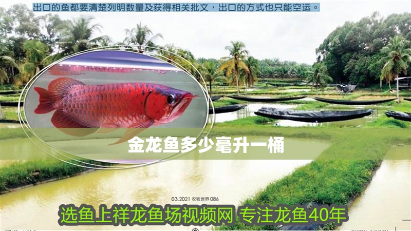 金龍魚多少毫升一桶