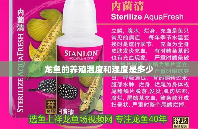 龍魚的養(yǎng)殖溫度和濕度是多少