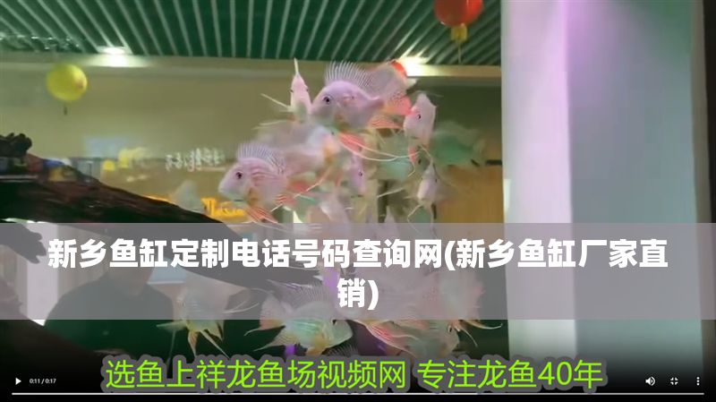 豬鼻龜加熱棒壞了用白熾燈照一晚上應急