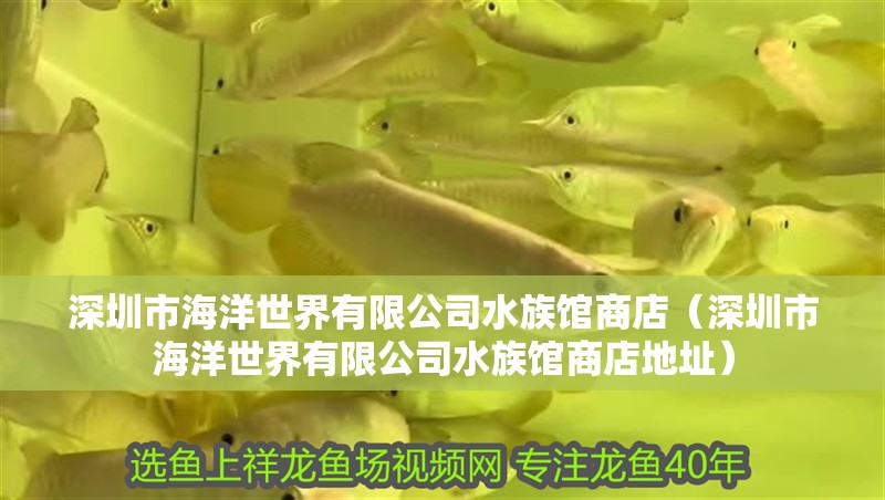 深圳市海洋世界有限公司水族館商店（深圳市海洋世界有限公司水族館商店地址）