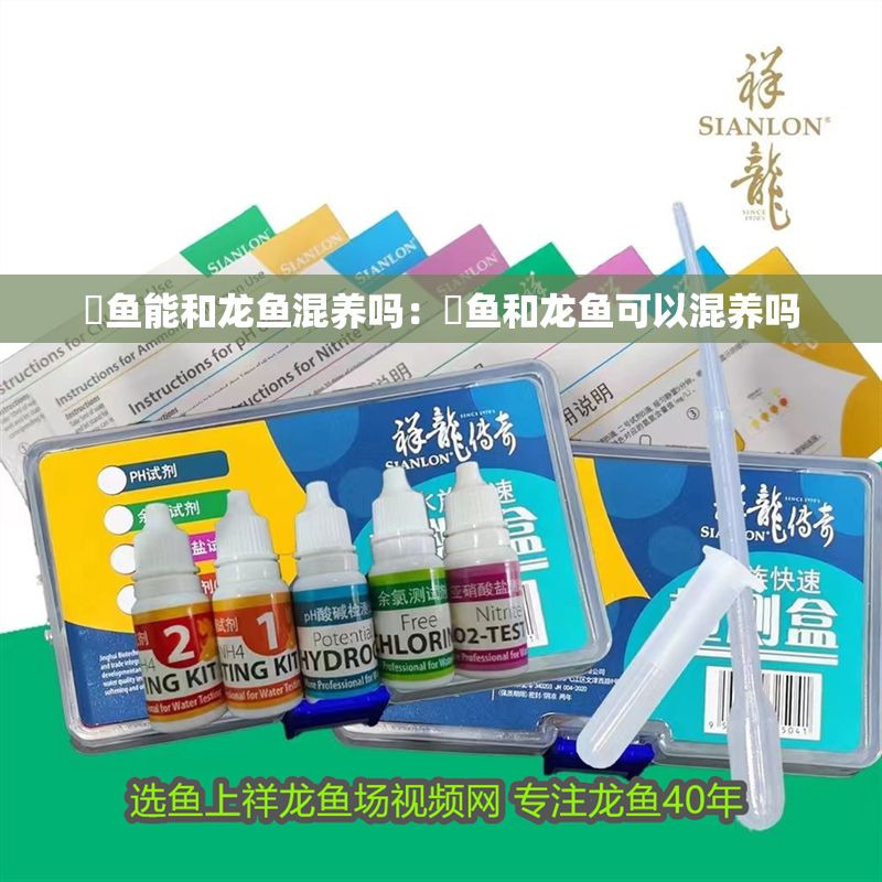 魟魚能和龍魚混養嗎：魟魚和龍魚可以混養嗎