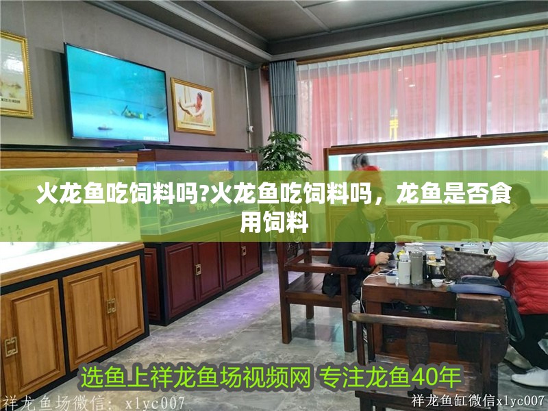 火龍魚吃飼料嗎?火龍魚吃飼料嗎，龍魚是否食用飼料
