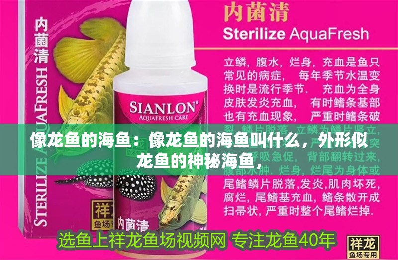 像龍魚的海魚：像龍魚的海魚叫什么，外形似龍魚的神秘海魚，