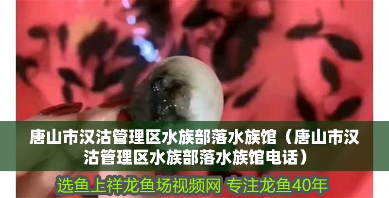 唐山市漢沽管理區水族部落水族館（唐山市漢沽管理區水族部落水族館電話） 唐山市漢沽管理區水族部落水族館（唐山市漢沽管理區水族部落水族館電話） 全國水族館企業名錄 第2張