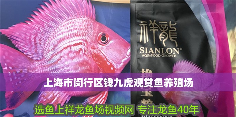 上海市閔行區錢九虎觀賞魚養殖場