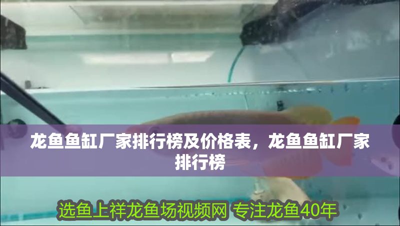 龍魚魚缸廠家排行榜及價格表，龍魚魚缸廠家排行榜