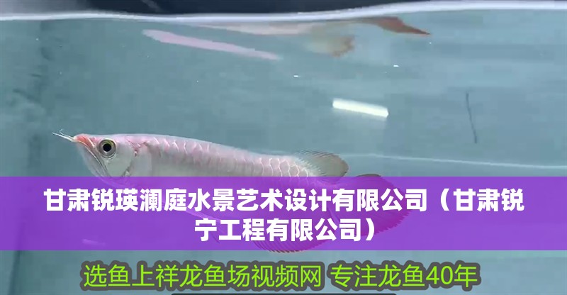 甘肅銳瑛瀾庭水景藝術設計有限公司（甘肅銳寧工程有限公司）