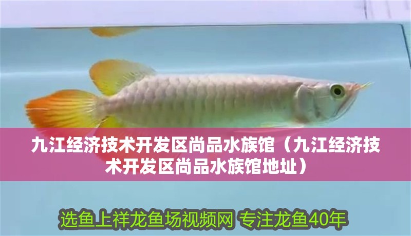 九江經濟技術開發區尚品水族館（九江經濟技術開發區尚品水族館地址）