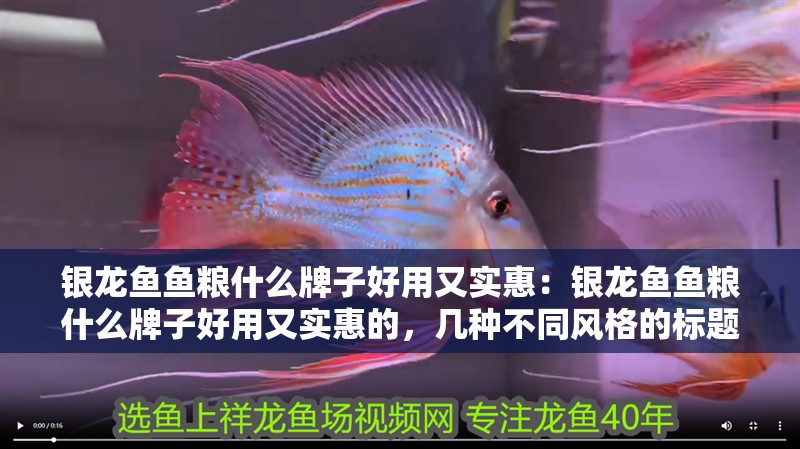 銀龍魚魚糧什么牌子好用又實惠：銀龍魚魚糧什么牌子好用又實惠的，幾種不同風格的標題供你參考，你可以根據需求進行選擇，，探尋好用又實惠的銀龍魚魚糧品牌，解鎖！哪些牌子的銀龍魚魚糧既好用又實惠，精選，好用且實惠的銀龍魚魚糧品牌推薦