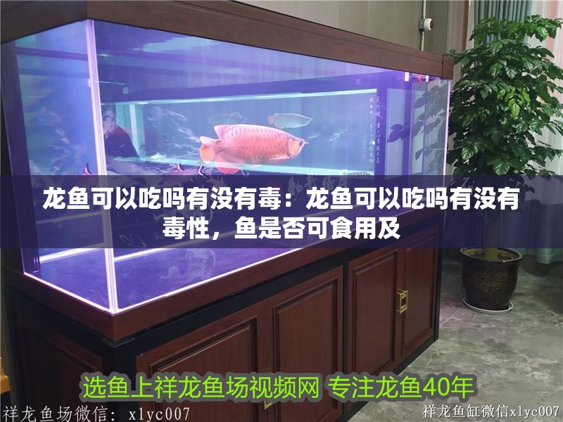 龍魚可以吃嗎有沒有毒：龍魚可以吃嗎有沒有毒性，魚是否可食用及