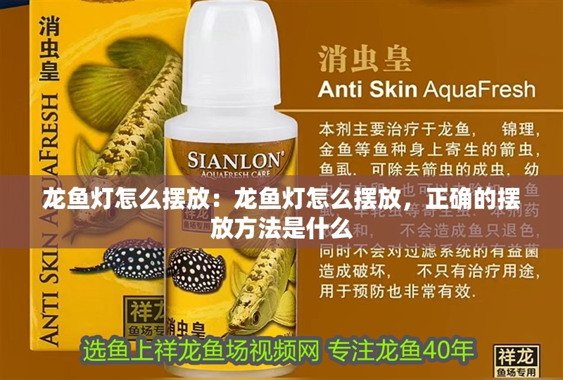 龍魚燈怎么擺放：龍魚燈怎么擺放，正確的擺放方法是什么