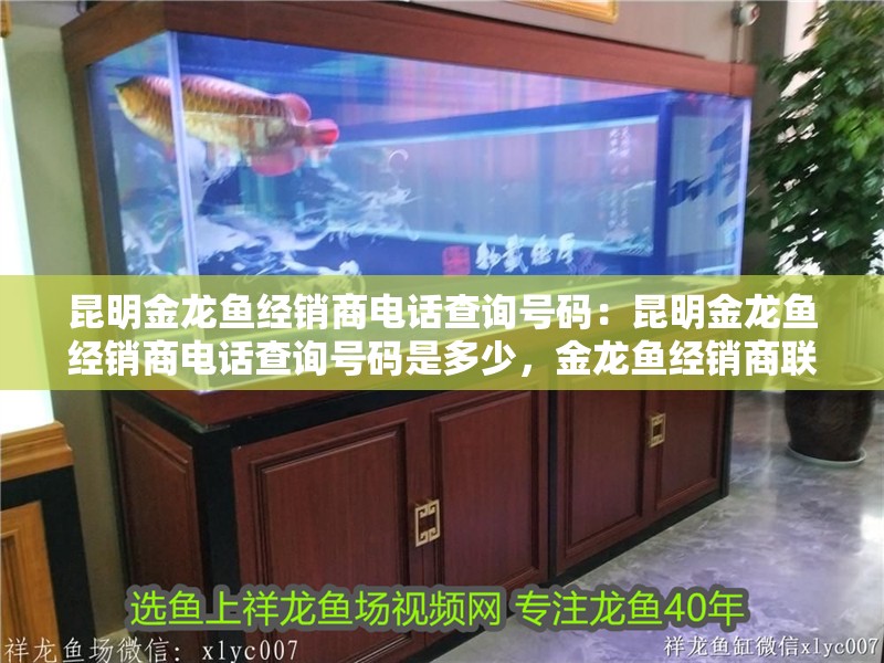 昆明金龍魚經銷商電話查詢號碼：昆明金龍魚經銷商電話查詢號碼是多少，金龍魚經銷商聯系電話