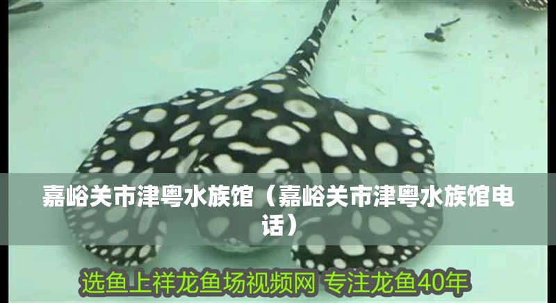 嘉峪關市津粵水族館（嘉峪關市津粵水族館電話）