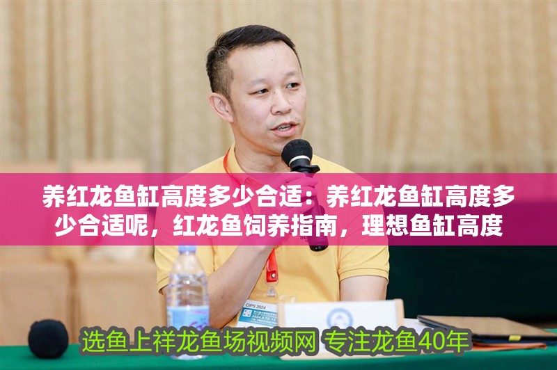 養紅龍魚缸高度多少合適：養紅龍魚缸高度多少合適呢，紅龍魚飼養指南，理想魚缸高度