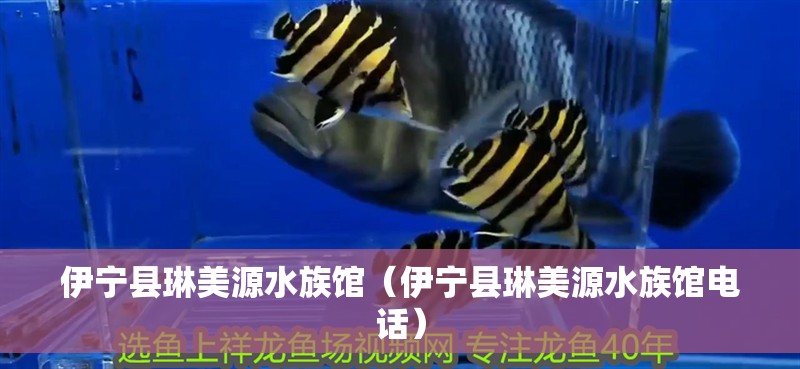 伊寧縣琳美源水族館（伊寧縣琳美源水族館電話）