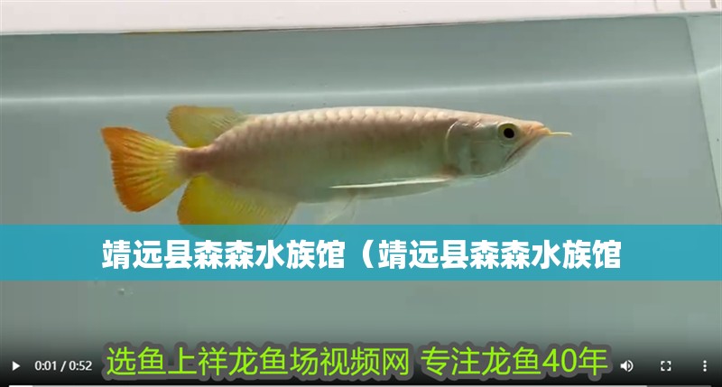 靖遠縣森森水族館（靖遠縣森森水族館