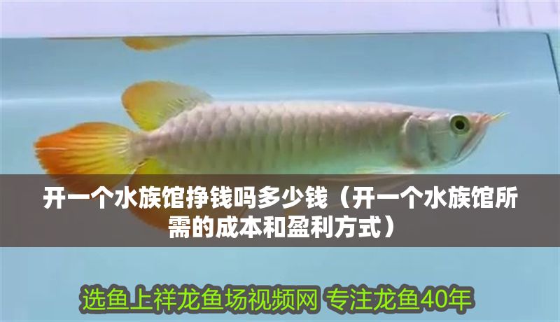 開一個水族館掙錢嗎多少錢(開一個水族館所需的成本和盈利方式) 水族館百科(水族館加盟) 第1張 開一個水族館掙錢嗎多少錢(開一個水族館所需的成本和盈利方式) 開一個水族館掙錢嗎多少錢(開一個水族館所需的成本和盈利方式) 水族館百科(水族館加盟) 第1張