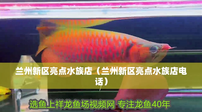 蘭州新區(qū)亮點水族店（蘭州新區(qū)亮點水族店電話）