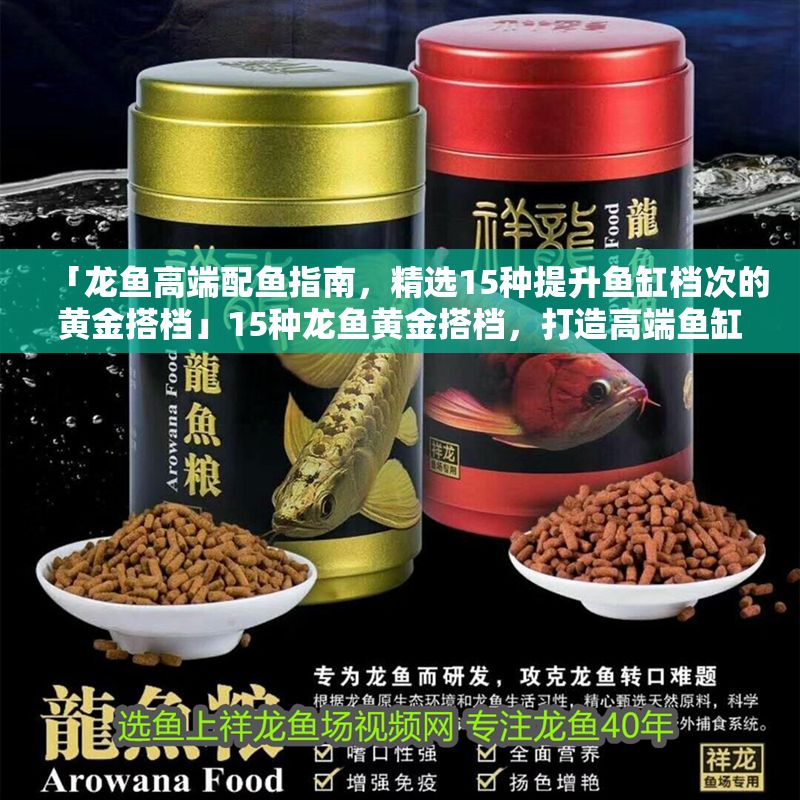 「龍魚高端配魚指南，精選15種提升魚缸檔次的黃金搭檔」15種龍魚黃金搭檔，打造高端魚缸的完美組合