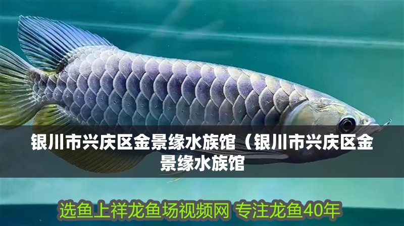 銀川市興慶區金景緣水族館（銀川市興慶區金景緣水族館