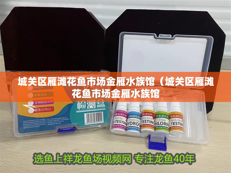 城關(guān)區(qū)雁灘花魚市場金雁水族館（城關(guān)區(qū)雁灘花魚市場金雁水族館