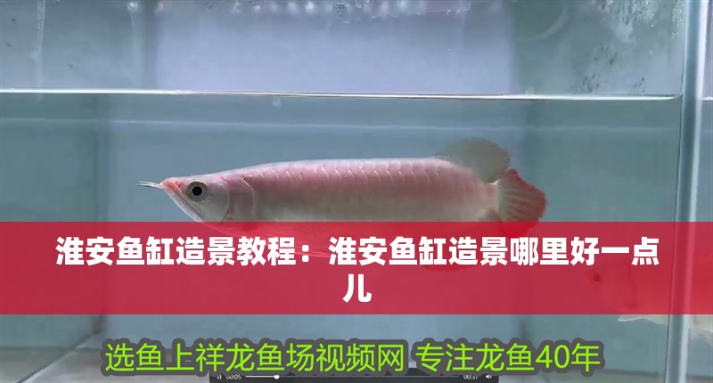淮安魚(yú)缸造景教程：淮安魚(yú)缸造景哪里好一點(diǎn)兒