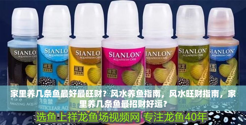 家里養(yǎng)幾條魚(yú)最好最旺財(cái)？風(fēng)水養(yǎng)魚(yú)指南，風(fēng)水旺財(cái)指南，家里養(yǎng)幾條魚(yú)最招財(cái)好運(yùn)？ 家里養(yǎng)幾條魚(yú)最好最旺財(cái)？風(fēng)水養(yǎng)魚(yú)指南，風(fēng)水旺財(cái)指南，家里養(yǎng)幾條魚(yú)最招財(cái)好運(yùn)？ 龍魚(yú)百科 第1張