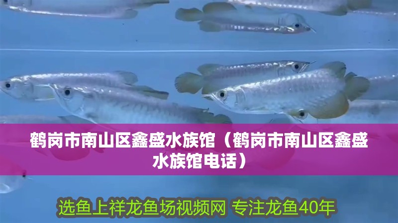 鶴崗市南山區鑫盛水族館（鶴崗市南山區鑫盛水族館電話）