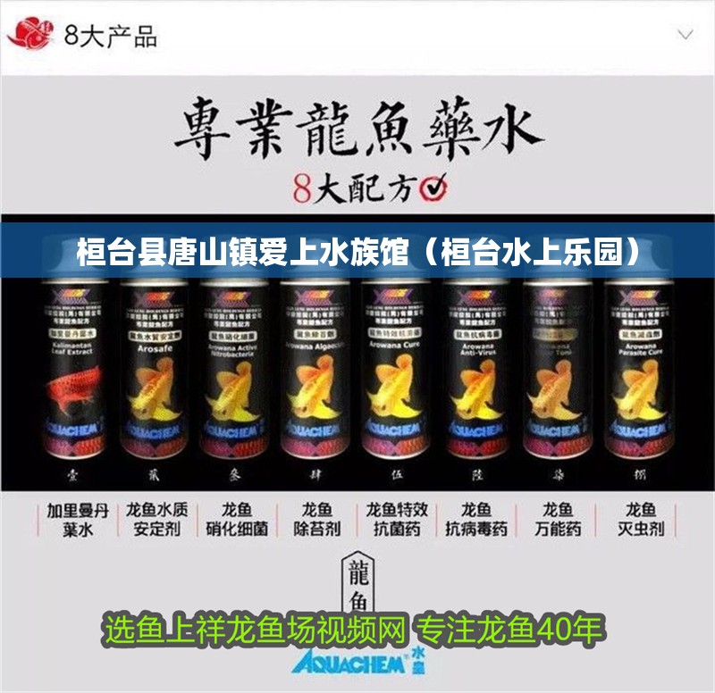 桓臺(tái)縣唐山鎮(zhèn)愛上水族館（桓臺(tái)水上樂園）