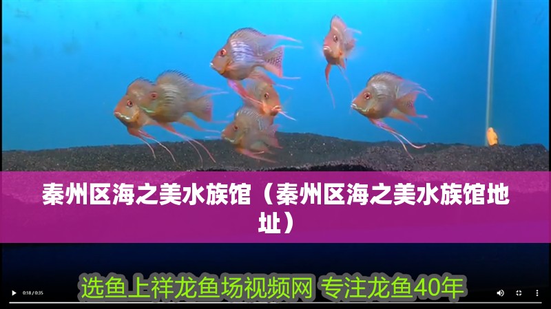 秦州區海之美水族館（秦州區海之美水族館地址）
