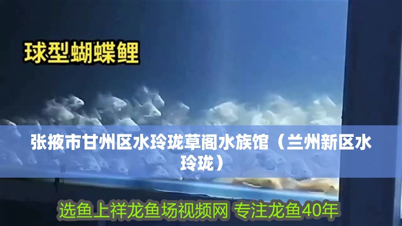 張掖市甘州區水玲瓏草閣水族館（蘭州新區水玲瓏）