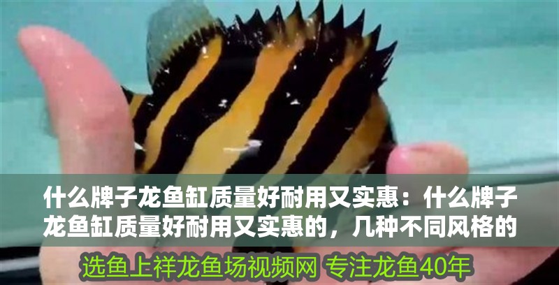 什么牌子龍魚缸質量好耐用又實惠：什么牌子龍魚缸質量好耐用又實惠的，幾種不同風格的標題供你參考，，高性價比之選！盤點質量好、耐用又實惠的龍魚缸品牌，求購指南，探尋質量好、耐用且實惠的龍魚缸優質品牌，品質與性價比兼具，這些龍