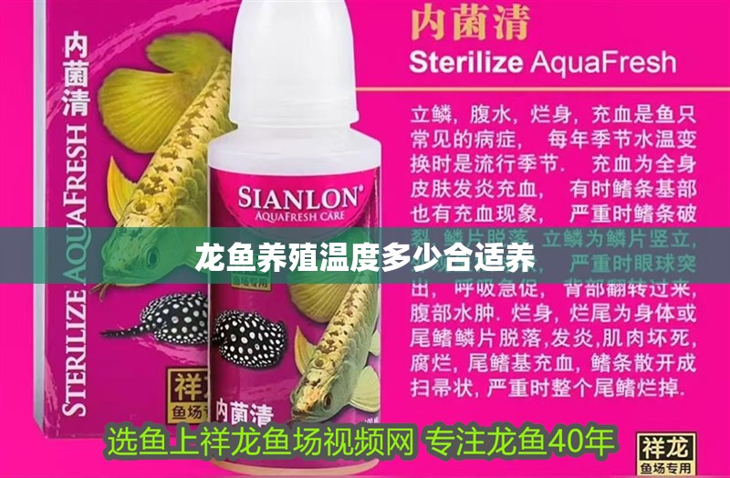 龍魚養殖溫度多少合適養