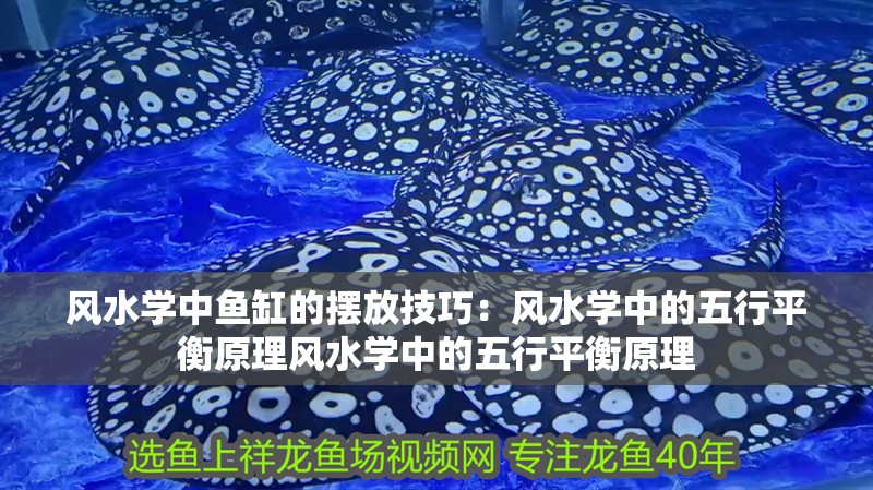 風(fēng)水學(xué)中魚缸的擺放技巧：風(fēng)水學(xué)中的五行平衡原理風(fēng)水學(xué)中的五行平衡原理