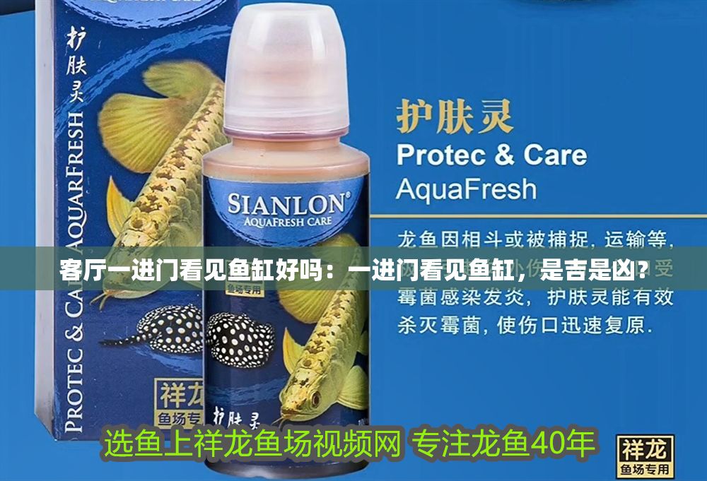 客廳一進門看見魚缸好嗎：一進門看見魚缸，是吉是兇？