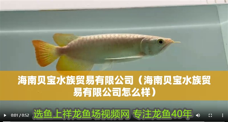 海南貝寶水族貿易有限公司（海南貝寶水族貿易有限公司怎么樣）