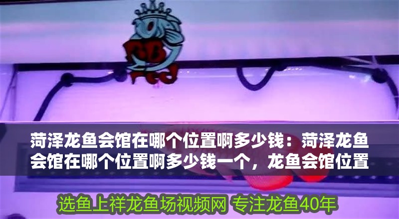 菏澤龍魚會館在哪個位置啊多少錢：菏澤龍魚會館在哪個位置啊多少錢一個，龍魚會館位置