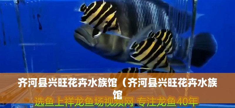 齊河縣興旺花卉水族館（齊河縣興旺花卉水族館