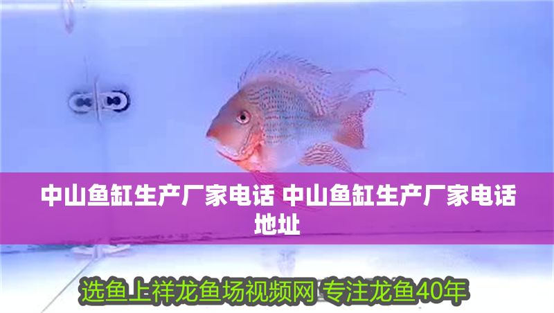 中山魚缸生產廠家電話 中山魚缸生產廠家電話地址